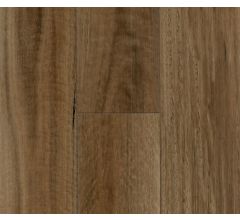 NSW Spotted Gum - 411800